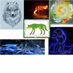Female Wolves Of All Kind