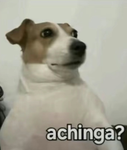 /gz