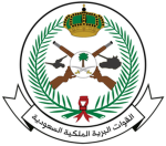 Brigata "Mujaheddin" | SAG