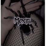 M e c r i