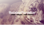Paradise Snow Leopards