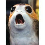 (Starwars) Porg Fan Club!