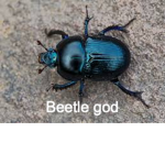 Beetle gods