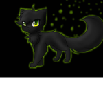 black cat team
