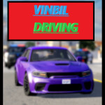 VNBIL DRIVING