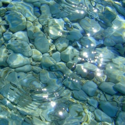 my