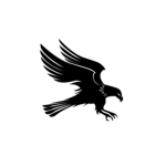 Eagle Outfitters And Design