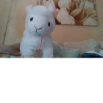 KATT GG