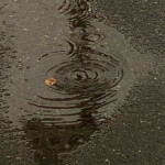 ❀ ⋆ ୨⊹୧ ‧˚.