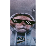 Chromegang