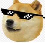 Doge group/ doggie3438735