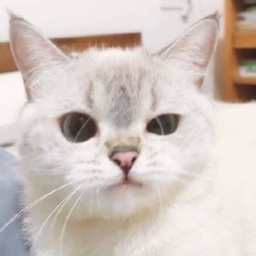 :3