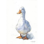 DUCK REUNION