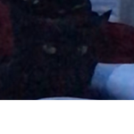 Xyxfragergams278