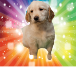 TEH #ROBUX