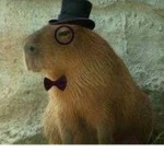 Tropa capivara