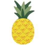 Hailee's pineapples