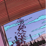 C.I.N.A.B.O