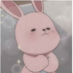 TheBunnyz