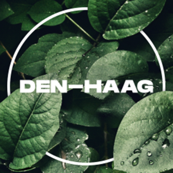 Den-Haag [Béta]