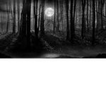 Full Moon Seekers