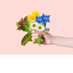 Flowerrio Gamming