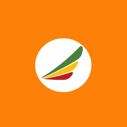Berhanua Domestic Airport