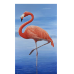 Flamingo is the king and queen