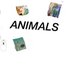 Habitats for animals