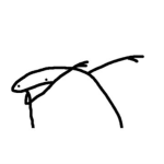 Rasec