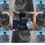 EvanBubbbies