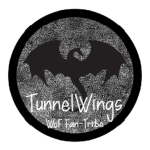 Tunnel'Wings