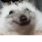 Le poopie group of le gamers