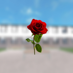 Hi :) how are you
