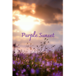 Purple Sunset Roblox