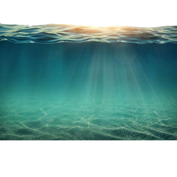 Sea Tycoon💧[BIG UPTADE]