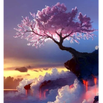 Kawaii central<3