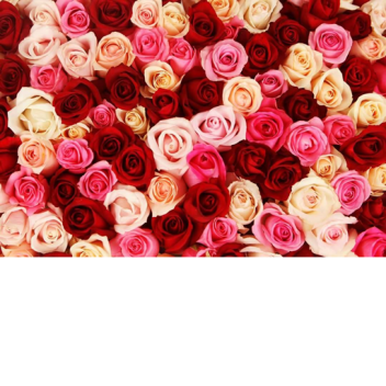 mckinze2010's Place Number: 2