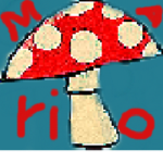 tHE mINIcRAFT