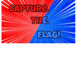 Capture The Flag!