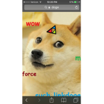 PET DOGE PLANET