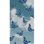 The Blue butterflys<3