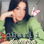 Charli D'Amelio's Fan group