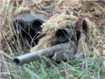 The Snipers