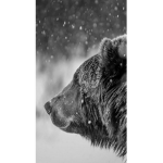 Strength of the clan