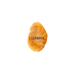 The Only Chicken Nuggets