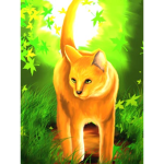 WarriorCats Studios