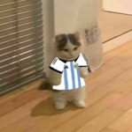 Vestagon xd