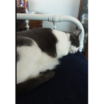 Onyx's Donation Group
