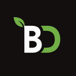 Booga Duels - No heals